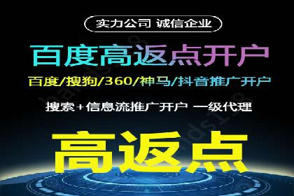 竞价广告投放策略，代运营公司的成功实践
